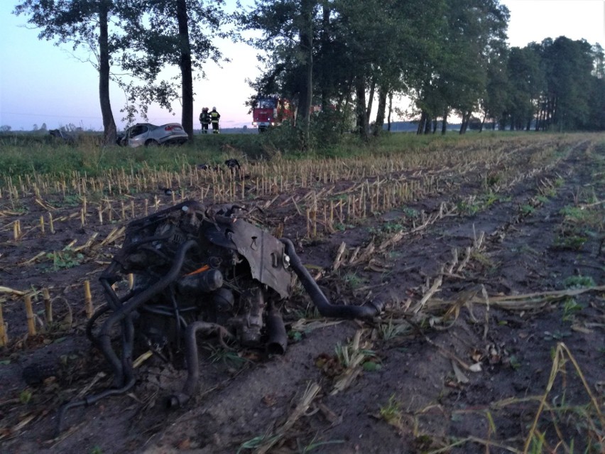 Kobieta kierująca seatem uderzyła w łosia, a następnie w...