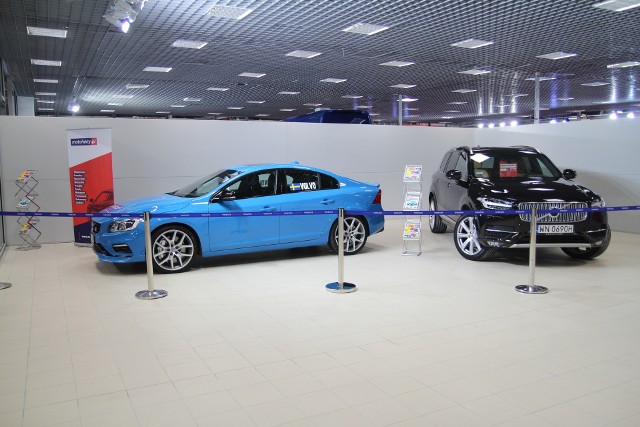 Targi odbywają się w halach Warsaw Expo zlokalizowanych w Nadarzynie. Podczas imprezy spotkają się dealerzy światowych marek samochodów, polscy producenci części samochodowych, sprzedawcy i firmy leasingowe / Fot. Polska Press