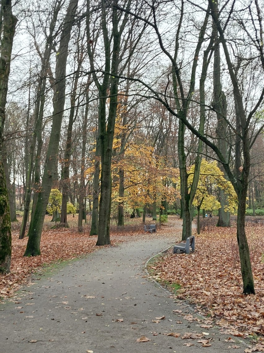 Park Planty w jesiennym wydaniu jest piękny. Ciężko o lepsze miejsce na spacer w Białymstoku. Malowniczo i uroczo. Zobacz zdjęcia