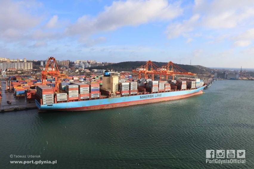 Charlotte Maersk w Porcie Gdynia, 12.02.2019