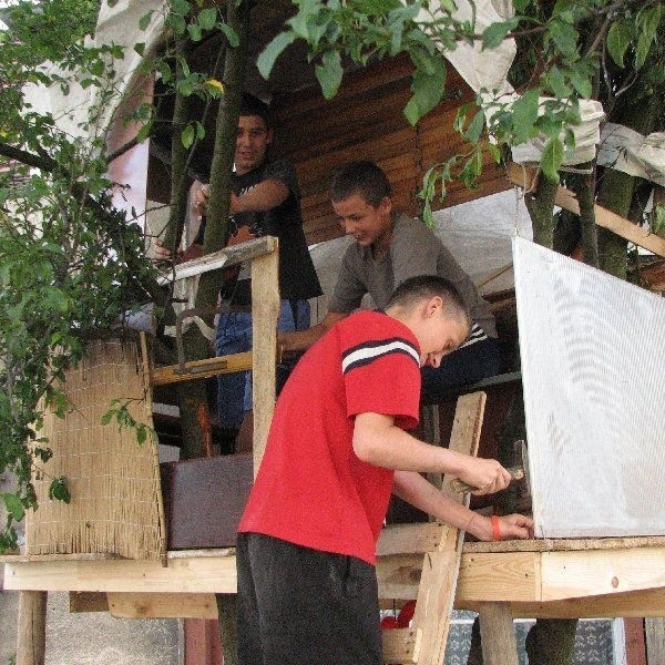 Mariusz, Przemek i Marcin (na zdjęciu)  postanowili sobie zrobić domek na drzewie.