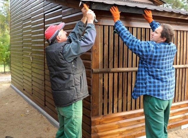 Na terenie Białostockiego Muzeum Wsi w Osowiczach właśnie trwa budowa czterech wolierów dla sokołów. W przyszłym roku muzealnicy chcą dokupić sowy.