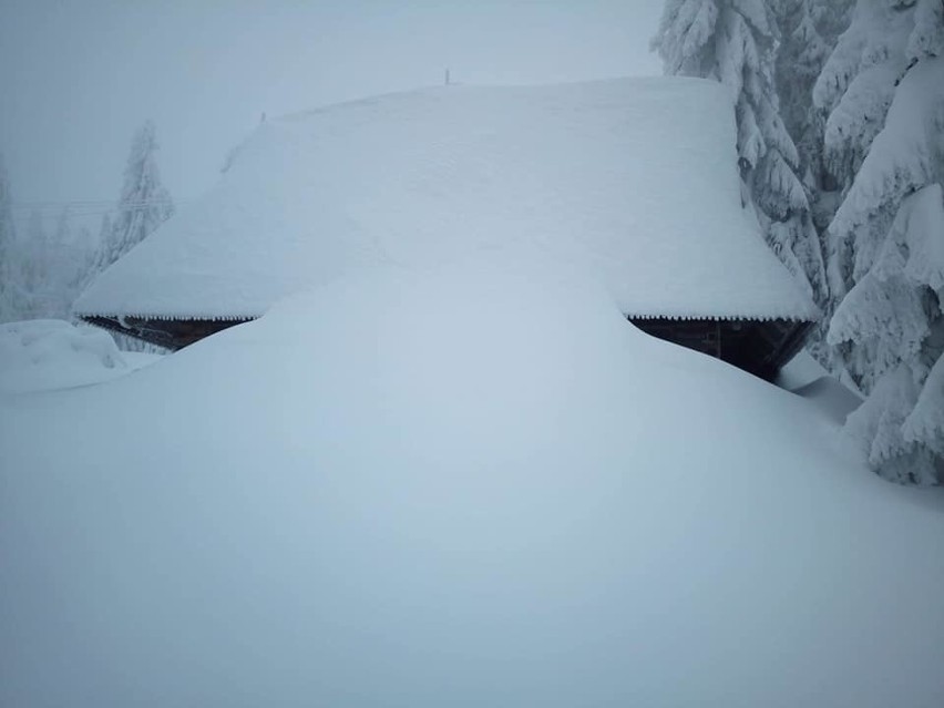 Gorce. Turbacz zasypany śniegiem. Jest pięknie [ZDJĘCIA]