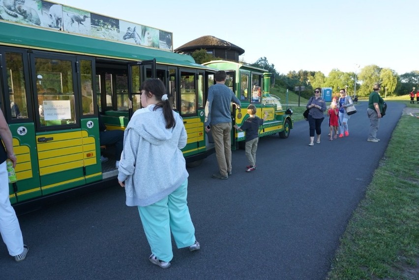 Poznań: Niezapomniana "Noc Marzeń" Nowym Zoo cieszyła dzieci...