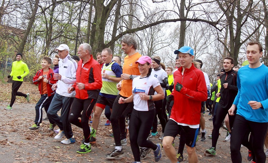 Parkrun Łódź z 2 listopada 2013. Bieg ze złotym medalistą w maratonie [ZDJĘCIA+FILM]
