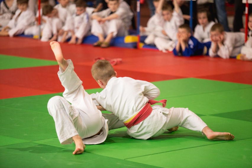 Judo. 200 dzieciaków walczyło w Turnieju Gryfek (zdjęcia)