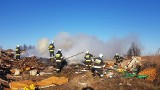 Pożar wysypiska śmieci pod Krakowem, z ogniem walczyło kilka zastępów straży [ZDJĘCIA]