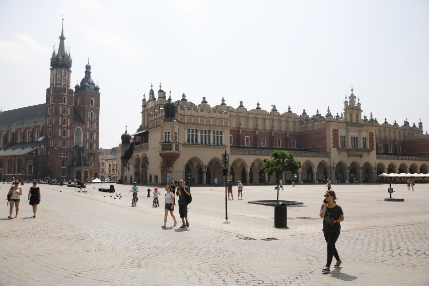 Na Rynek Główny wrócą drzewa? Taki jest plan! Beton zalał centralne place polskich miast, Kraków chce odwrócić trend