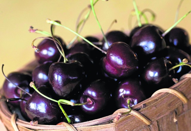 Ten sezon jest wyjątkowo trudny dla producentów owoców I wiśnie, i czarne porzeczki nie zapewniły w tym sezonie zysku plantatorom. Cena tych owoców była niska pomimo tego, że zbiory porzeczek były mniejsze o 20-40 procent, a wiśni 25-30 proc.