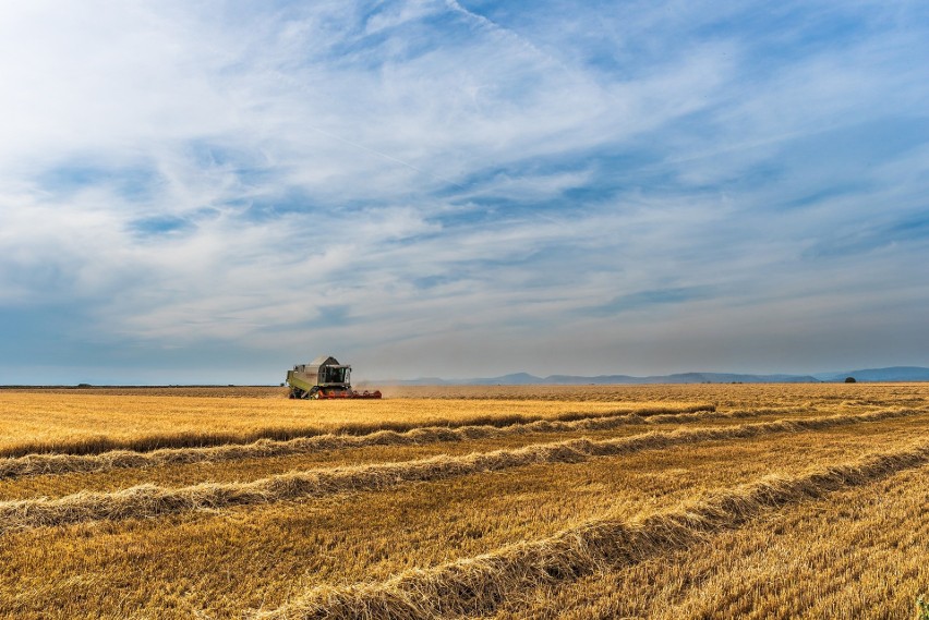 Do 11 czerwca do ARiMR wpłynęło blisko 1,04 mln wniosków o...