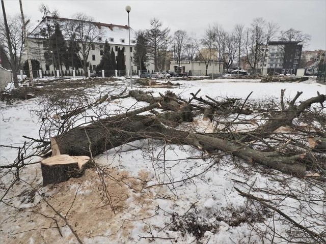 W Koszalinie powstanie nowy kościół. Wycinka drzew budzi emocje