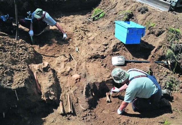 Pracownicy Fundacji "Pamięć" odsłaniają szczątki kolejnych pochowanych w Ramotach