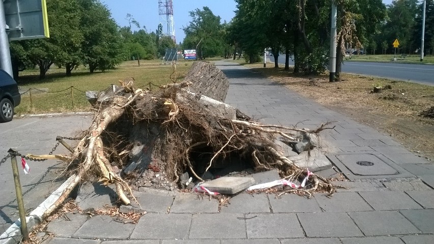 Sprzątanie po lipcowej burzy potrwa nawet do końca roku