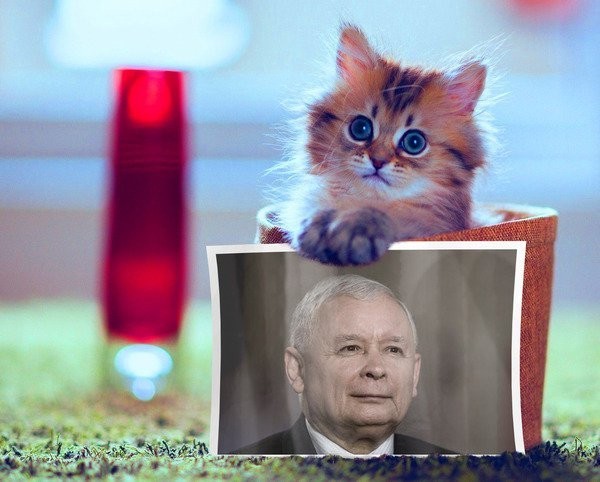 Jarosław Kaczyński podczas dzisiejszego posiedzenia Sejmu...