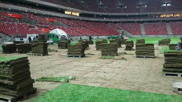 We wtorek ekipa z Rypina pojechała po „szczęśliwą” murawę. Ma trafić na rypiński Wembley.