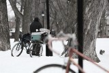 Katowice. Wsparcie dla osób bezdomnych w okresie zimowym. Sprawdź, do jakiej noclegowni możesz się zgłosić i jak uzyskasz pomoc