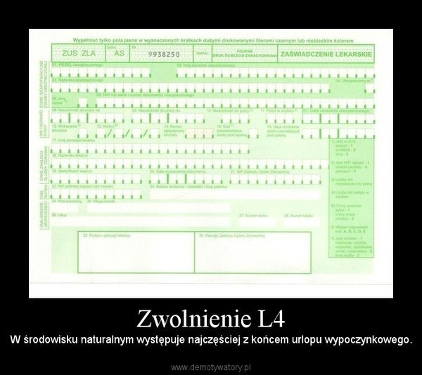 L4 - zwolnienie lekarskie, a może urlop lub forma protestu? (MEMY)