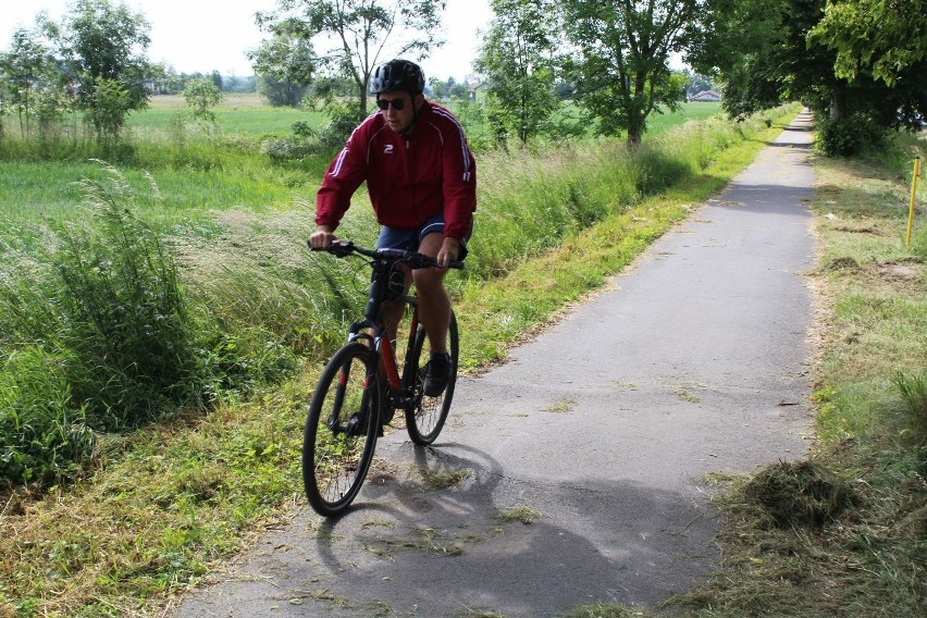 Korzenie niszczą asfaltową trasę rowerową do Mielna [ZDJĘCIA]