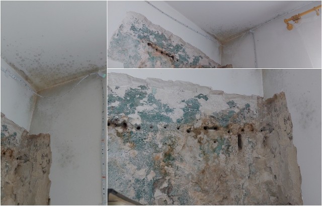 To zniszczenia ścian, jakie spowodowała wilgoć w domu pani Dobrosławy. Teraz jest już grzyb i pleśń.
