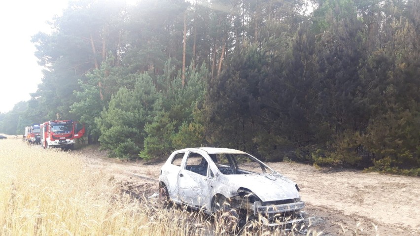 Pożar samochodu w Rzewniu. Ogień przeniósł się na okoliczne drzewa. Do pożaru doszło 5.07.2023