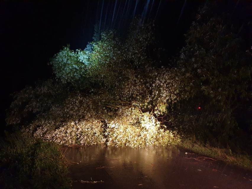 Gmina Andrzejewo. Skutki niedzielnej nawałnicy – powalone drzewo, zerwany dach. 31.08.2020. Zdjęcia