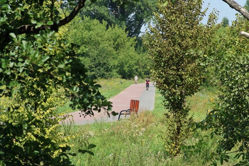 Więcej miejsca dla rowerzystów. Ścieżką obok stadionu piłkarskiego dojadą do Bystrzycy. Kiedy?