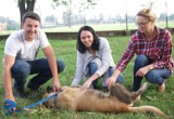 Piknik charytatywny na rzecz zwierząt w niedzielę w Grodkowie