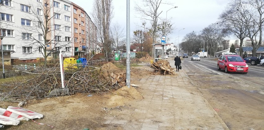 Przy okazji budowy ścieżki i chodnika na prawobrzeżu Szczecina znikają drzewa i krzewy. Co pojawi się w zamian?