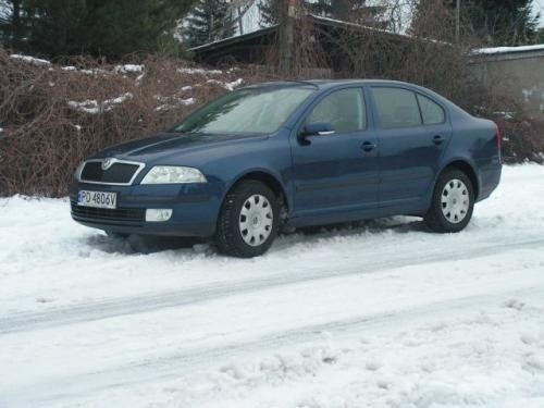 Fot. Ryszard Polit: Skoda Octavia II robi korzystne wrażenie głównie z powodu powiększonego przedziału pasażerskiego w stosunku do poprzedniej generacji. Pod tym względem jest też lepsza od Forda.