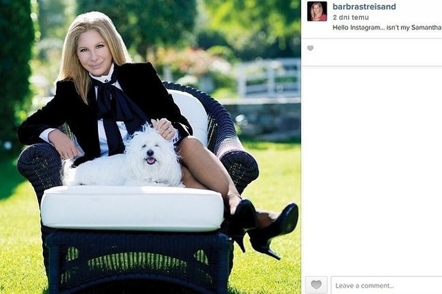 Barbra Streisand dodała pierwsze zdjęcie na Instagramie (fot. Instagram.com)