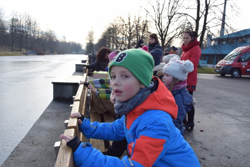 Pokaz ratownictwa lodowego na Kanale Regatowym w Parku Śląskim ZDJĘCIA