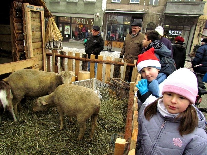 Marcie Kani i Kubie Drozdalskiemu bardzo podobała się szopka...