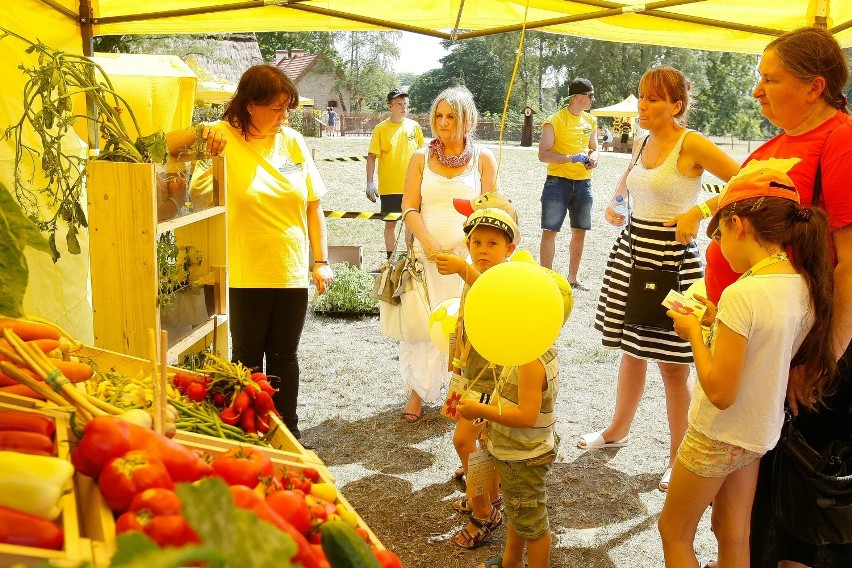 Wielki Dzień Pszczół w Ogrodzie Botanicznym [ZDJĘCIA]