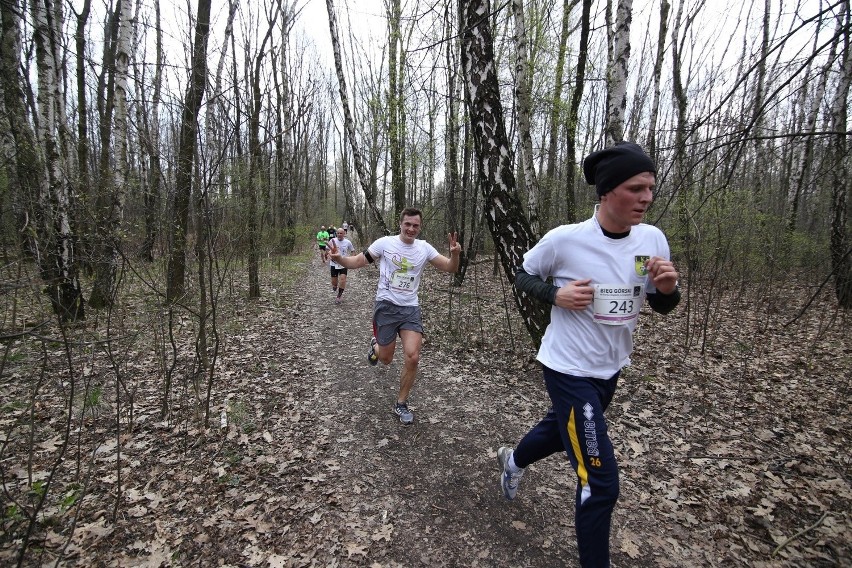 Park Śląski: W Biegu Górskim wystartowało ok. 400 biegaczy [ZOBACZ ZDJĘCIA]