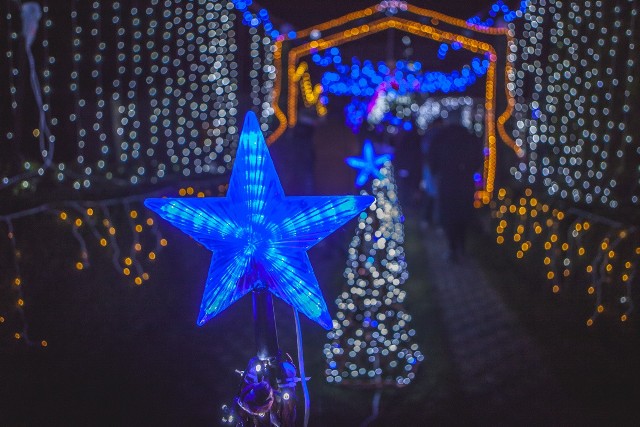 Tysiące światełek rozbłysło w Damnicy. Piękna iluminacja świetlna pana Kazimierza Michonia