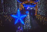 Tysiące światełek rozbłysło w Damnicy koło Słupska. Piękna iluminacja świetlna pana Kazimierza Michonia zachwyca rozmachem (wideo, zdjęcia)