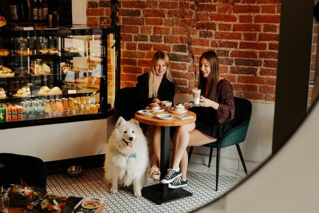 Bułka Cafe działa przy ul. Chełmińskiej 18 na starówce w Toruniu od niedawna.