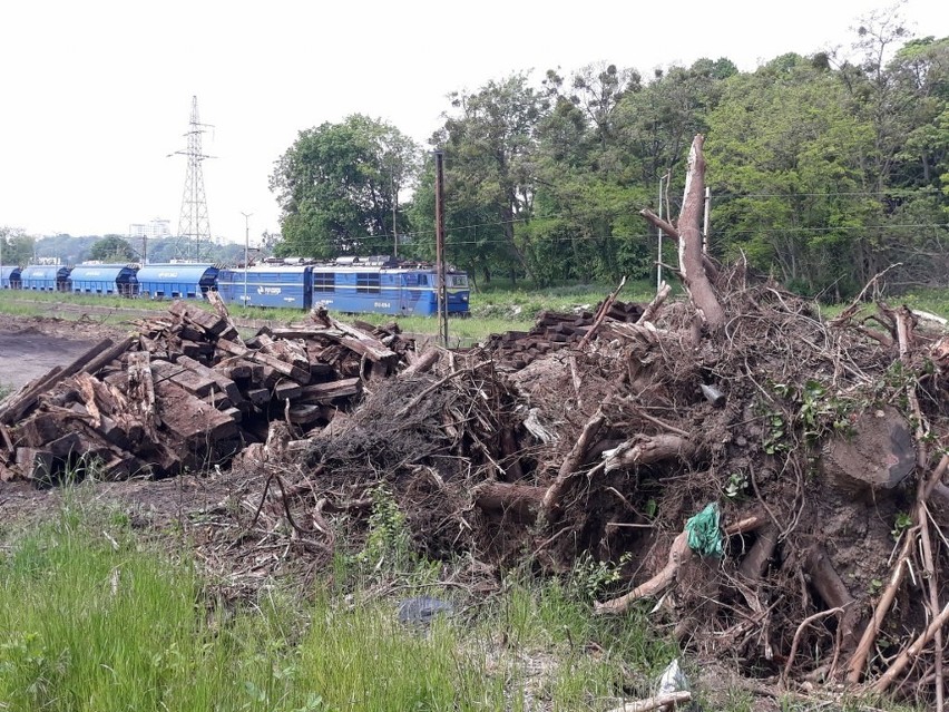 Skład towarowy nie mógł podjechać, inny zgubił wagony. Kłopoty na linii kolejowej ze Szczecina do Polic