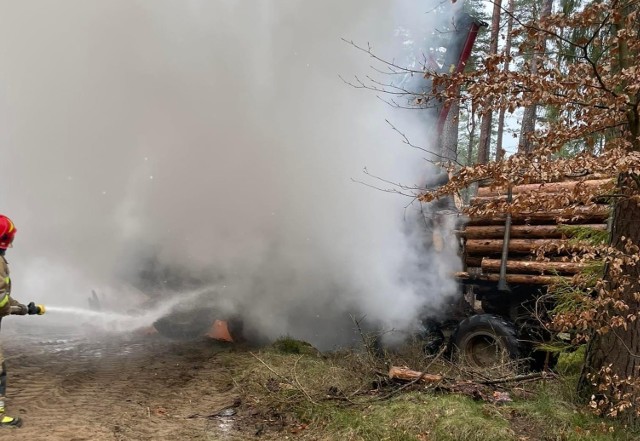 W lesie niedaleko Trzcinna palił się forwarder.