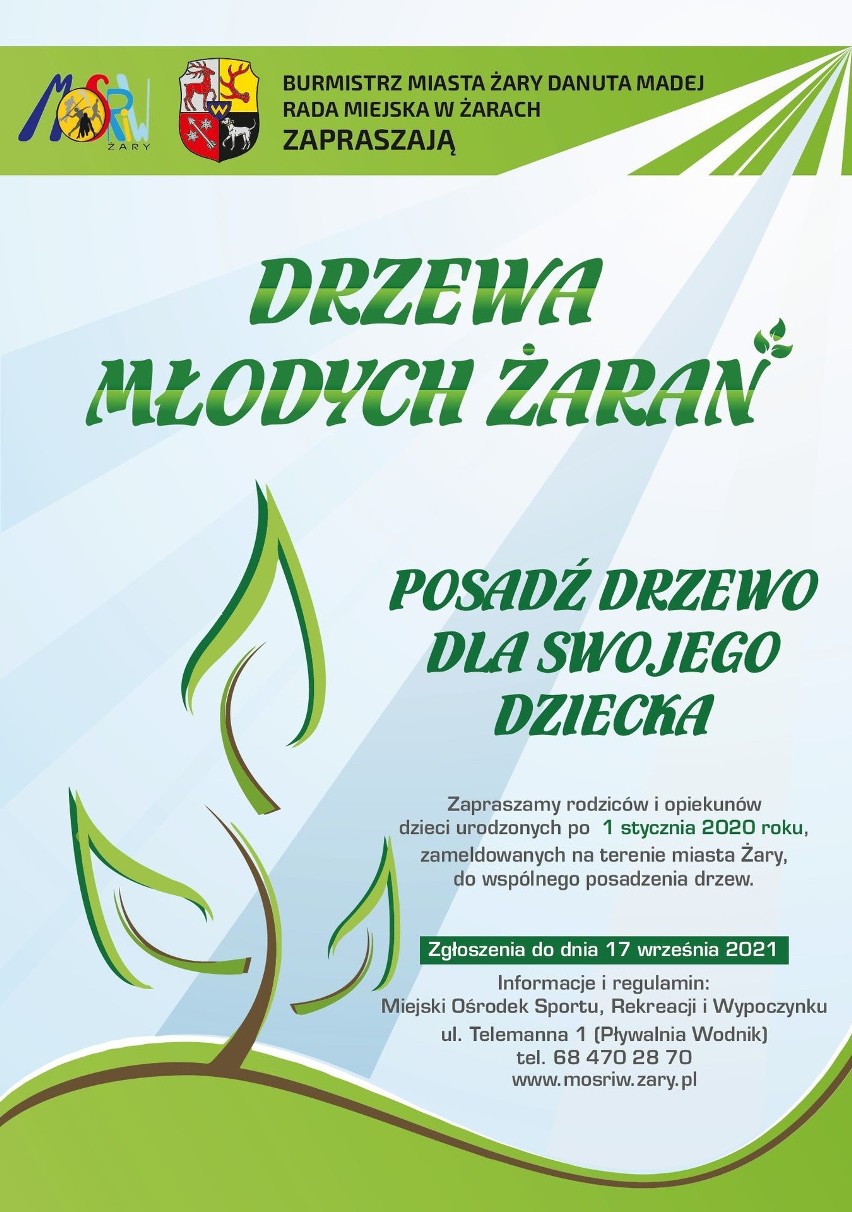 Akcja Drzewa Młodych Żaran