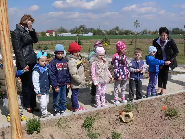 W zagrodzie powstał ogródek ziołowy, gdzie odwiedzający mogą już  poznawać różne gatunki ziół i roślin