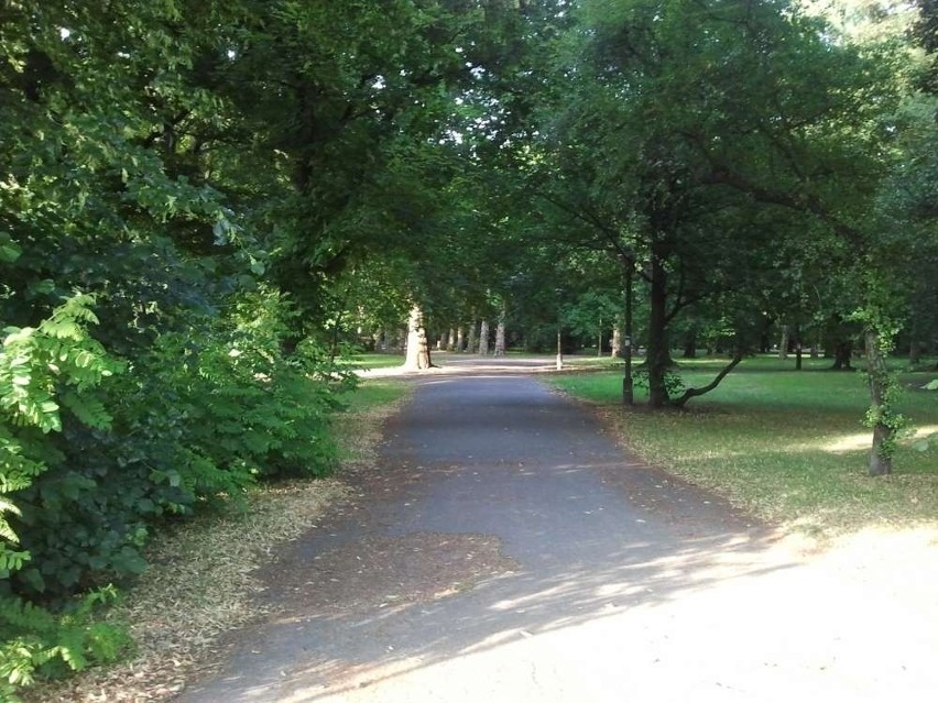 Park górczyński w Poznaniu