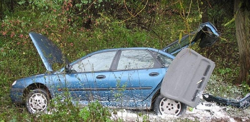 Siłą uderzenia wyrzuciła auto z drogi