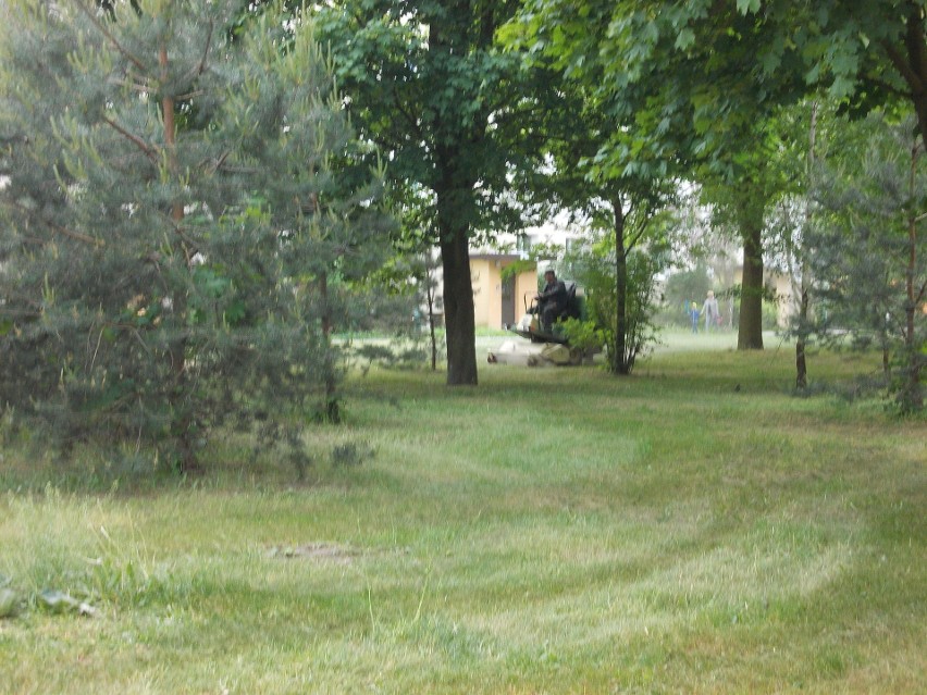 Tak koszą na osiedlu Prędocinek w Radomiu.