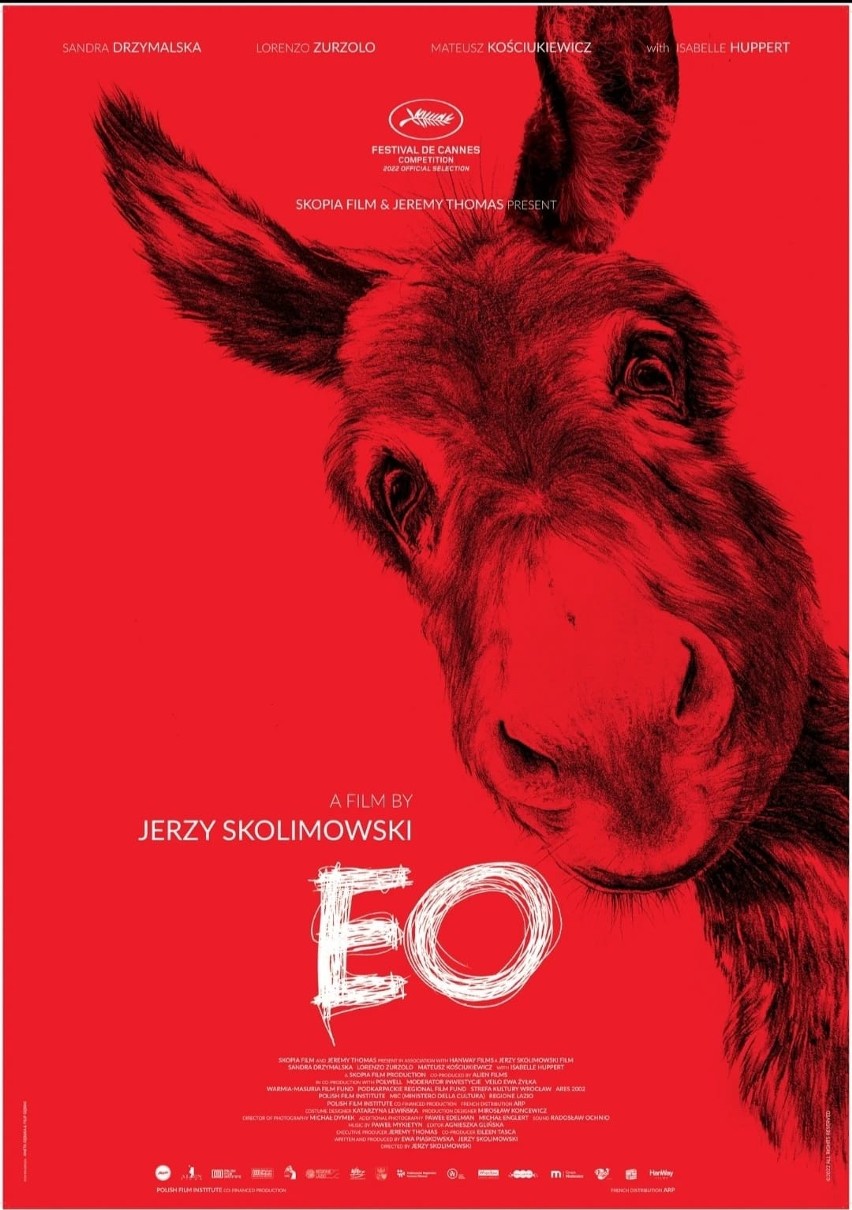 Kręcony na Podkarpaciu film „IO” Jerzego Skolimowskiego walczy o Złotą Palmę na Festiwalu Filmowym w Cannes