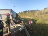 Wypadek na autostradzie A1 w stronę Gdańska. W wyniku kolizji przewróciła się ciężarówka. Na jezdnię wysypały się jabłka