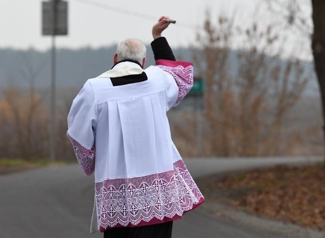 Zdjęcie poglądowe