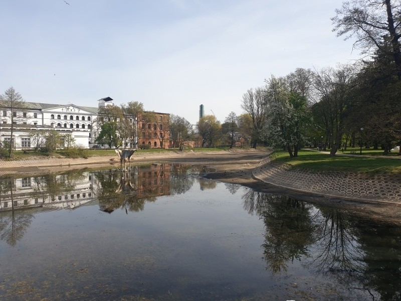 Wyjątkowo suchy staw w centrum Łodzi. Poziom wody powinien być wyższy o dwa metry! ZDJĘCIA