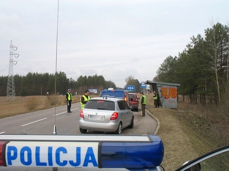 Uwaga na łosie! Policjanci zatrzymywali samochody (zdjęcia)