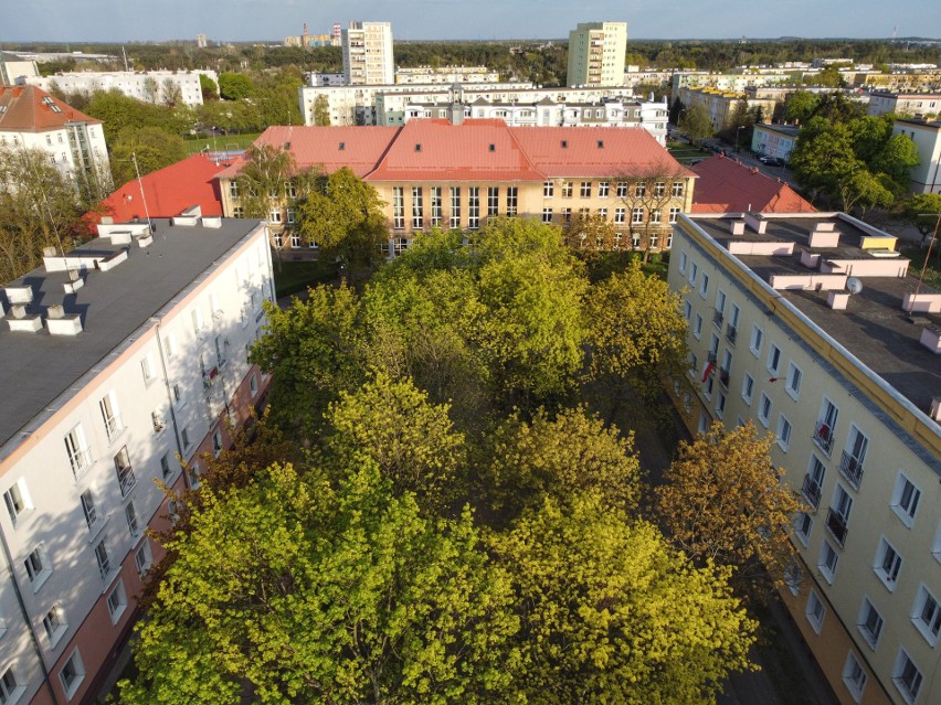 Piękna wiosna w parku na bydgoskich Kapuściskach. Zobacz zdjęcia z drona